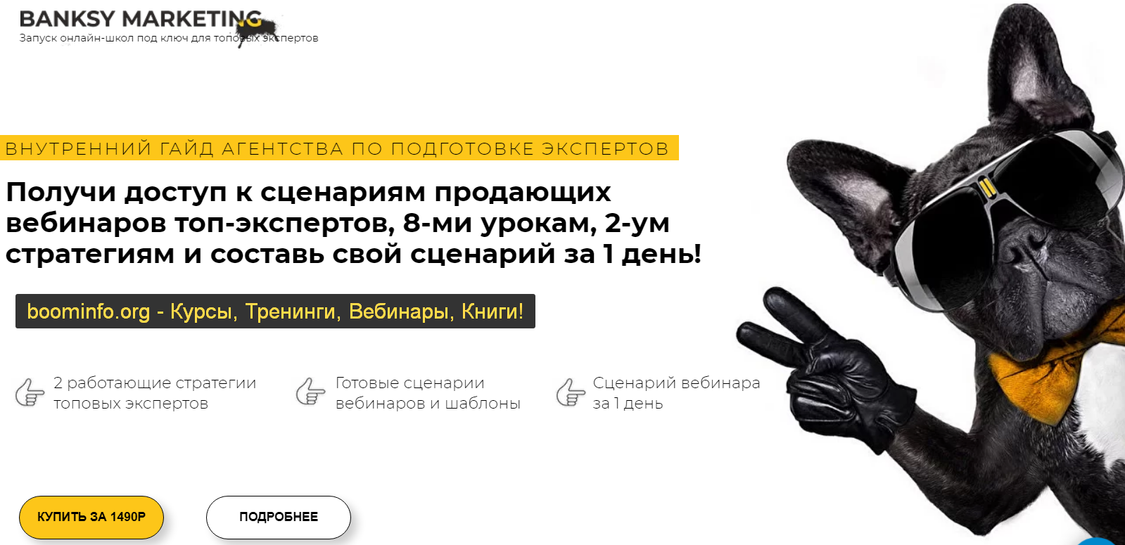 [Анастасия Ланская] Как проводить вебинары и прямы_0.png